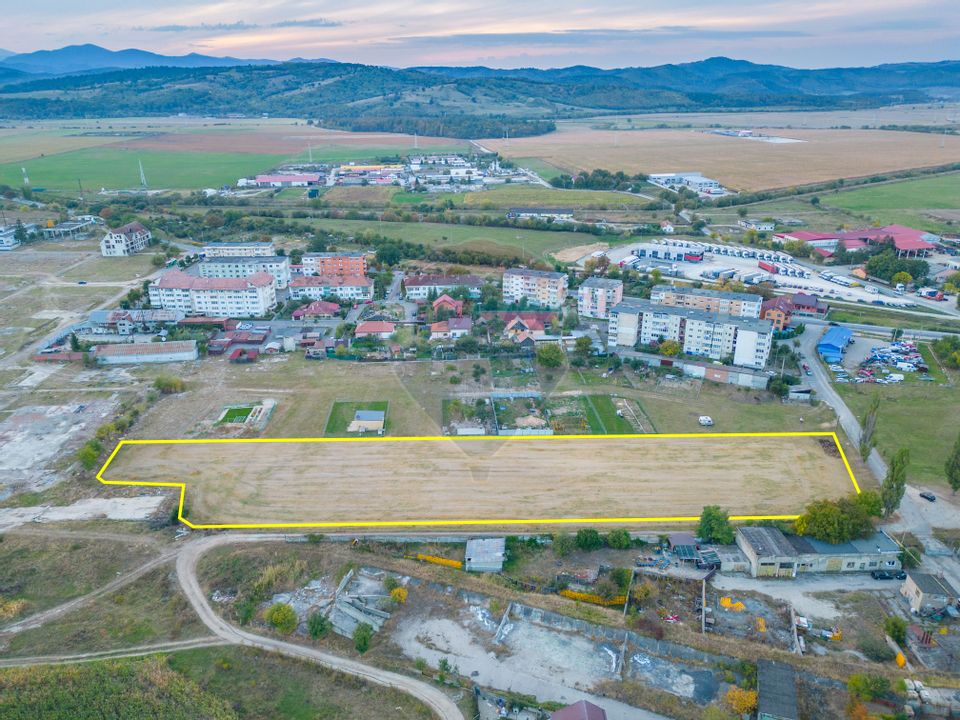 Land 10,000sqm Rasnov / Strada Alecu Russo