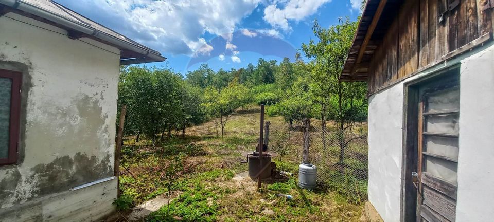 Land 3,551sqm Poiana Copaceni / Strada Poiana Copaceni