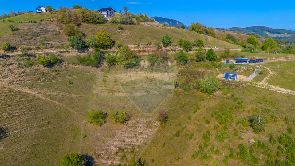 Teren extravilan 6,014mp | Holbav | BRASOV | COMISION 0|