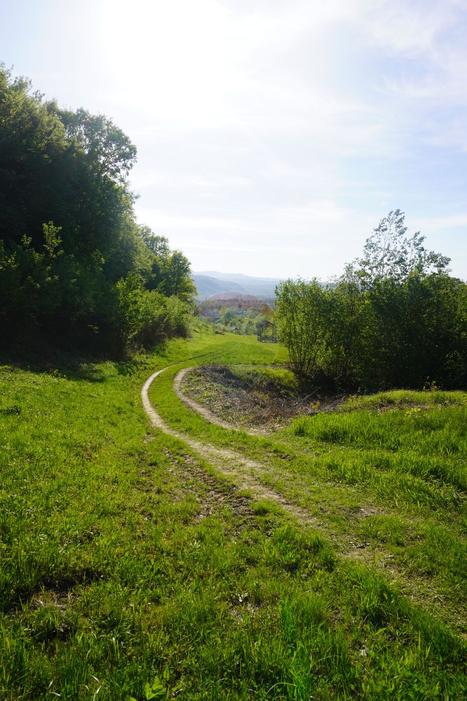 Land 33,137sqm Sighetu Marmatiei / Strada Mocăniței