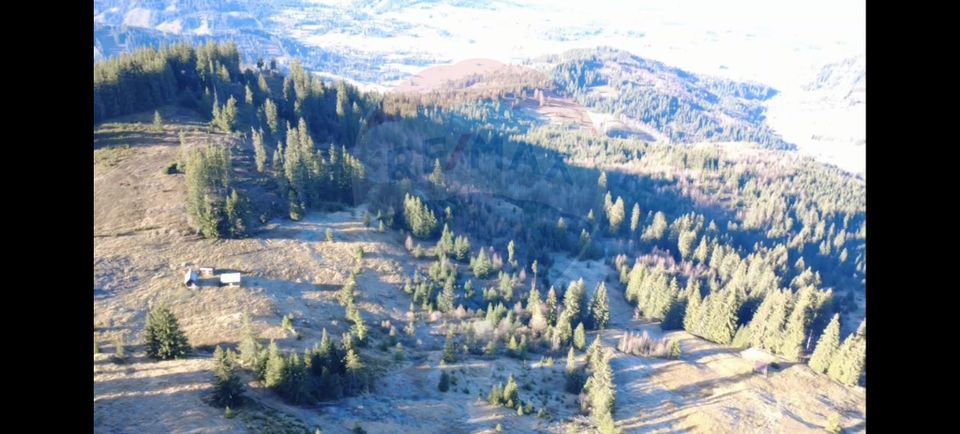 Teren 31,461mp Panaci / Prelungirea Ialovita