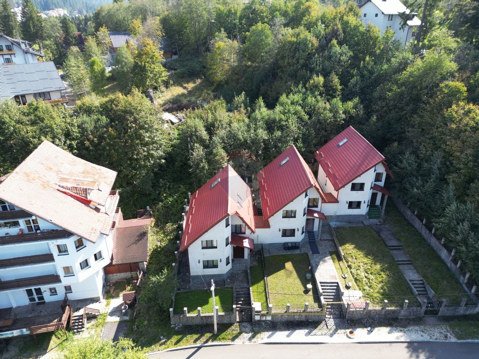 6 room House / Villa for sale, Vladet - Trei Brazi area