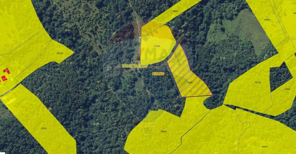 Land 7,800sqm Sinteu / Drumul Valea Tarnei