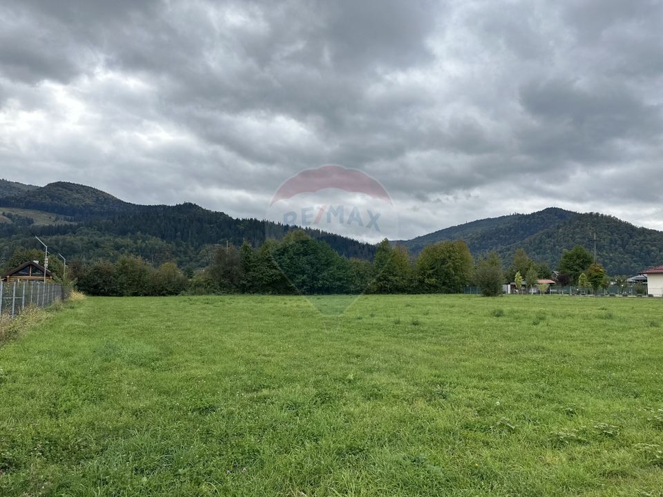 Land 1,023sqm Vadurele (Alexandru cel Bun) / Strada Stejarilor