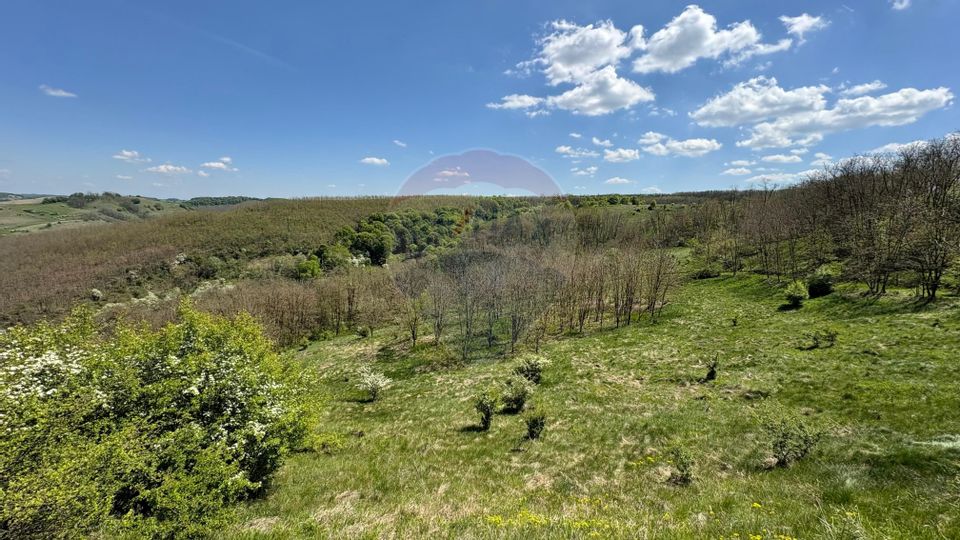 Land 659,000sqm Copsa Mica / DN 14