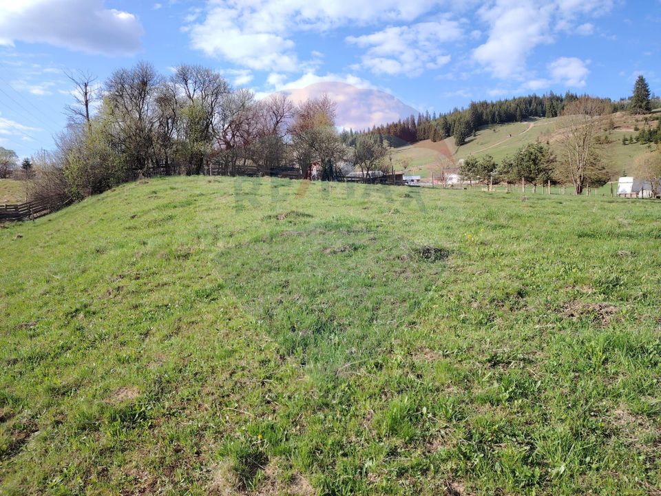 Teren 2,421mp Vatra Dornei / Strada Chilia