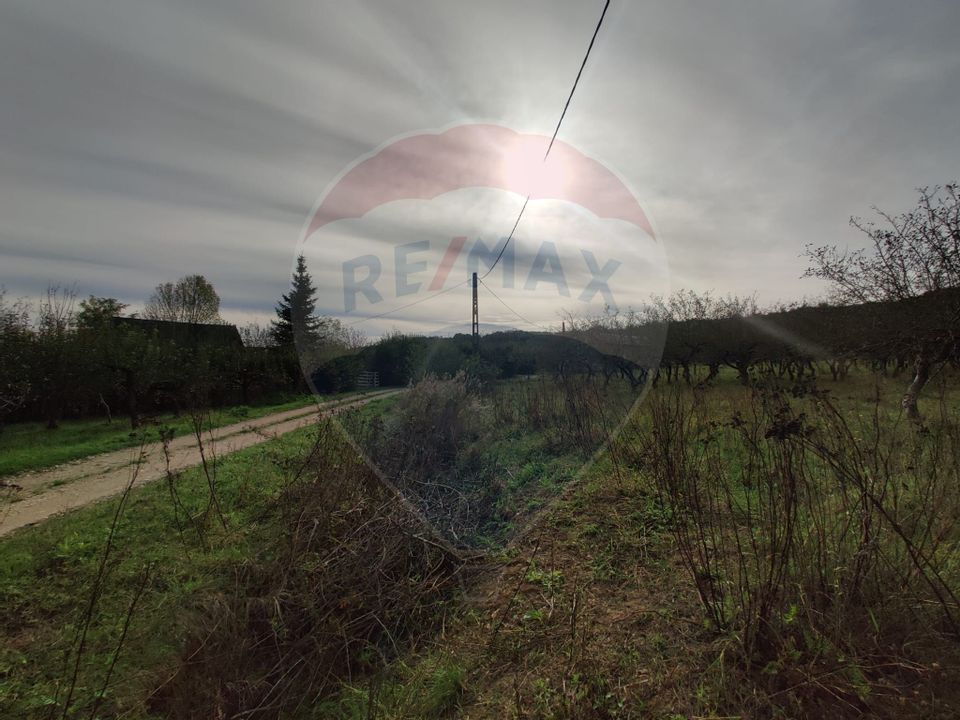 Teren de vanzare la ieșire Remetea Chioarului