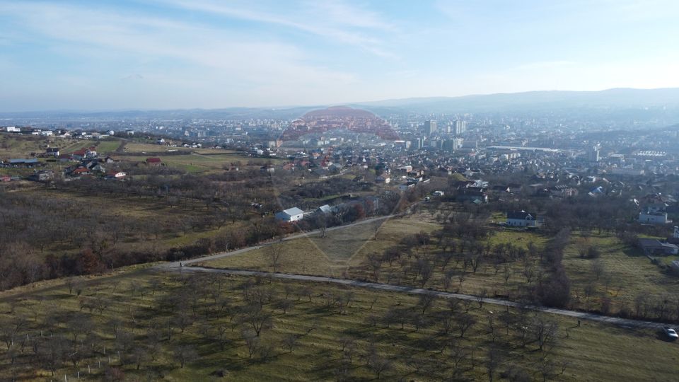 Teren 20.146 mp Dâmbu Rotund (Lomb).Extravilan.Potențial rezidențial