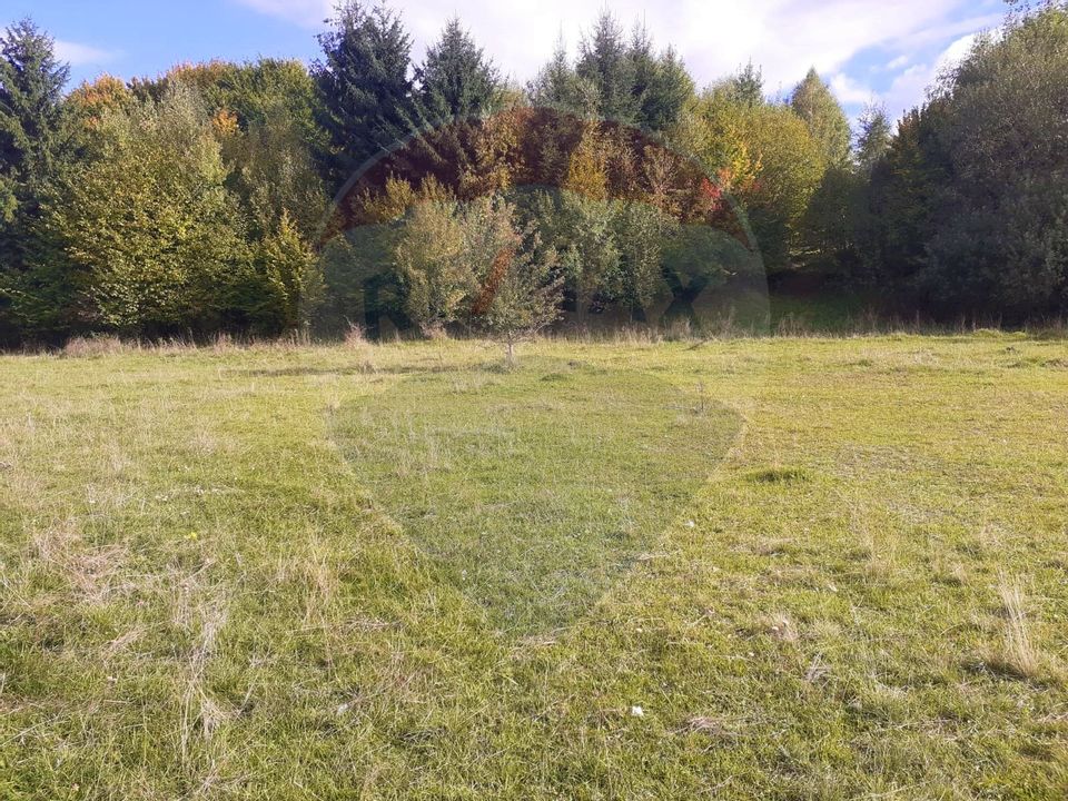 Comision Teren Rasnov - Strada Poiana velicanului, 5167mp