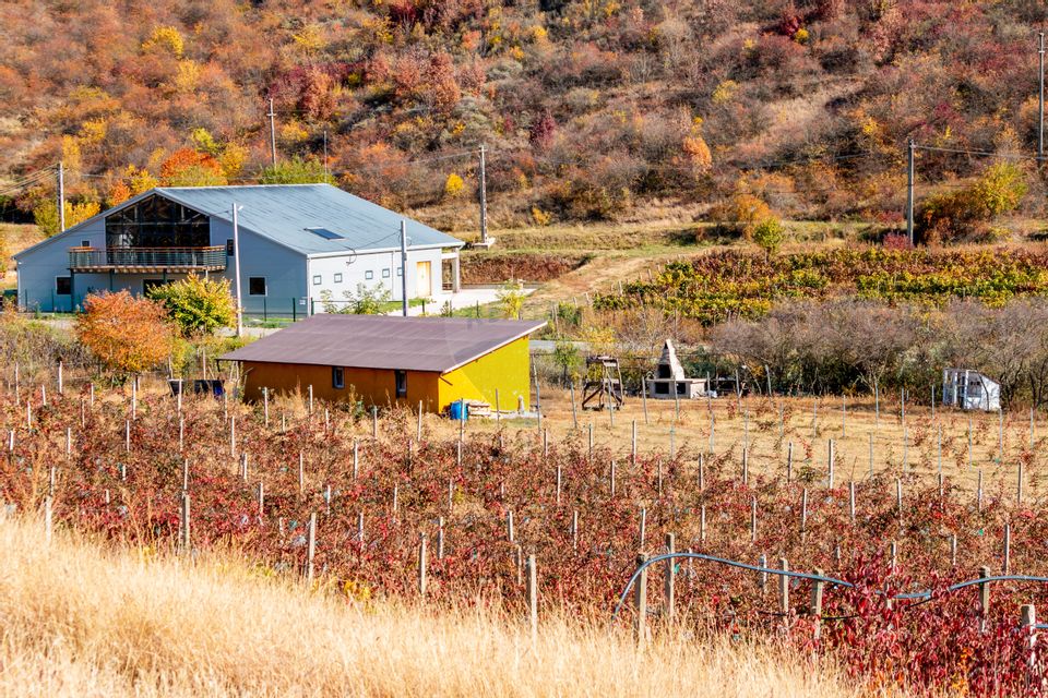 Oportunitate de investitie - Teren de vanzare I 4 ha I certificat ECO