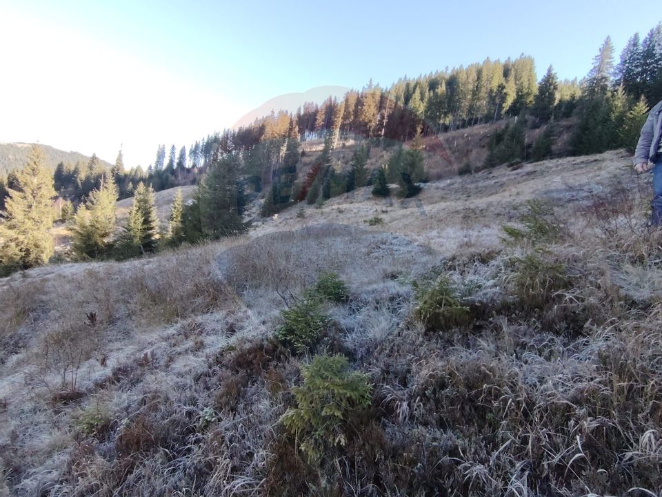 Teren 31,461mp Panaci / Prelungirea Ialovita