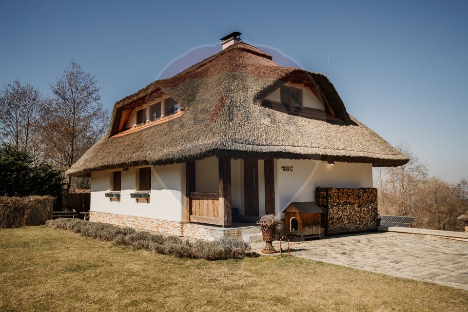 Casă cu arhitectura traditionala romaneasca I Salicea I Cluj
