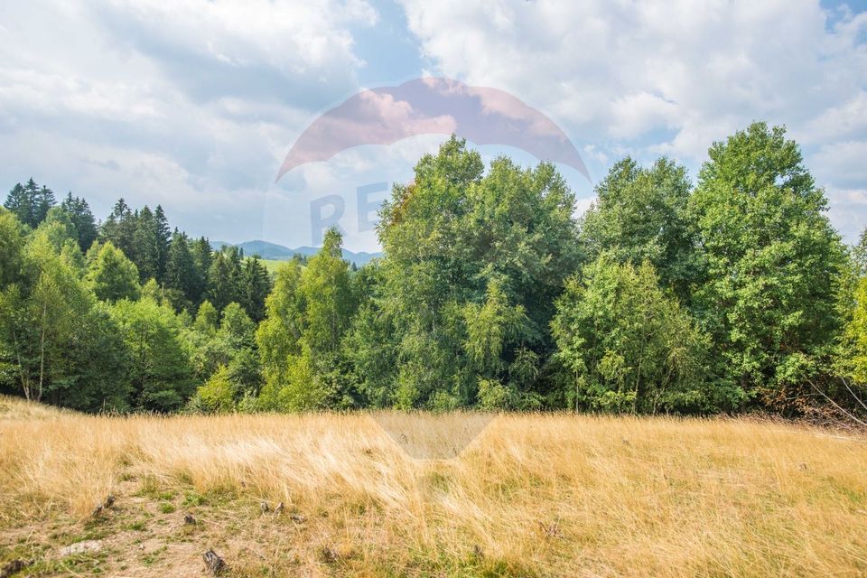 Teren extravilan Moieciu 45316mp