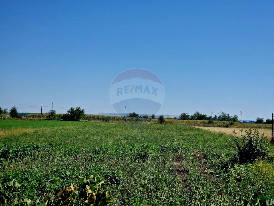 6 room House / Villa for sale