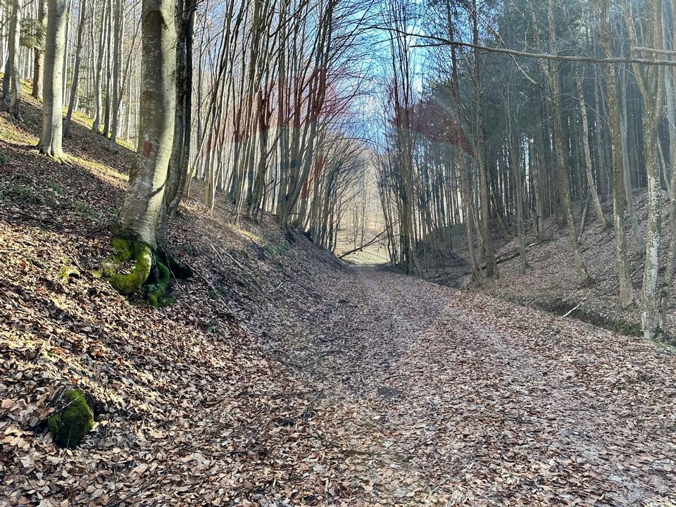 Teren de vanzare 53,723mp Codlea / Nord-Vest