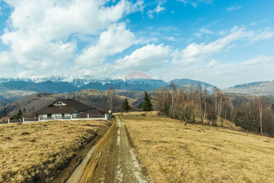 Comision 0%! Teren Moieciu de Jos 1500 mp