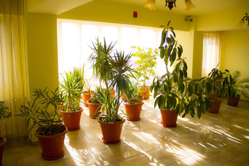 Hotel de vanzare Buftea IF –Cu 40 de camere