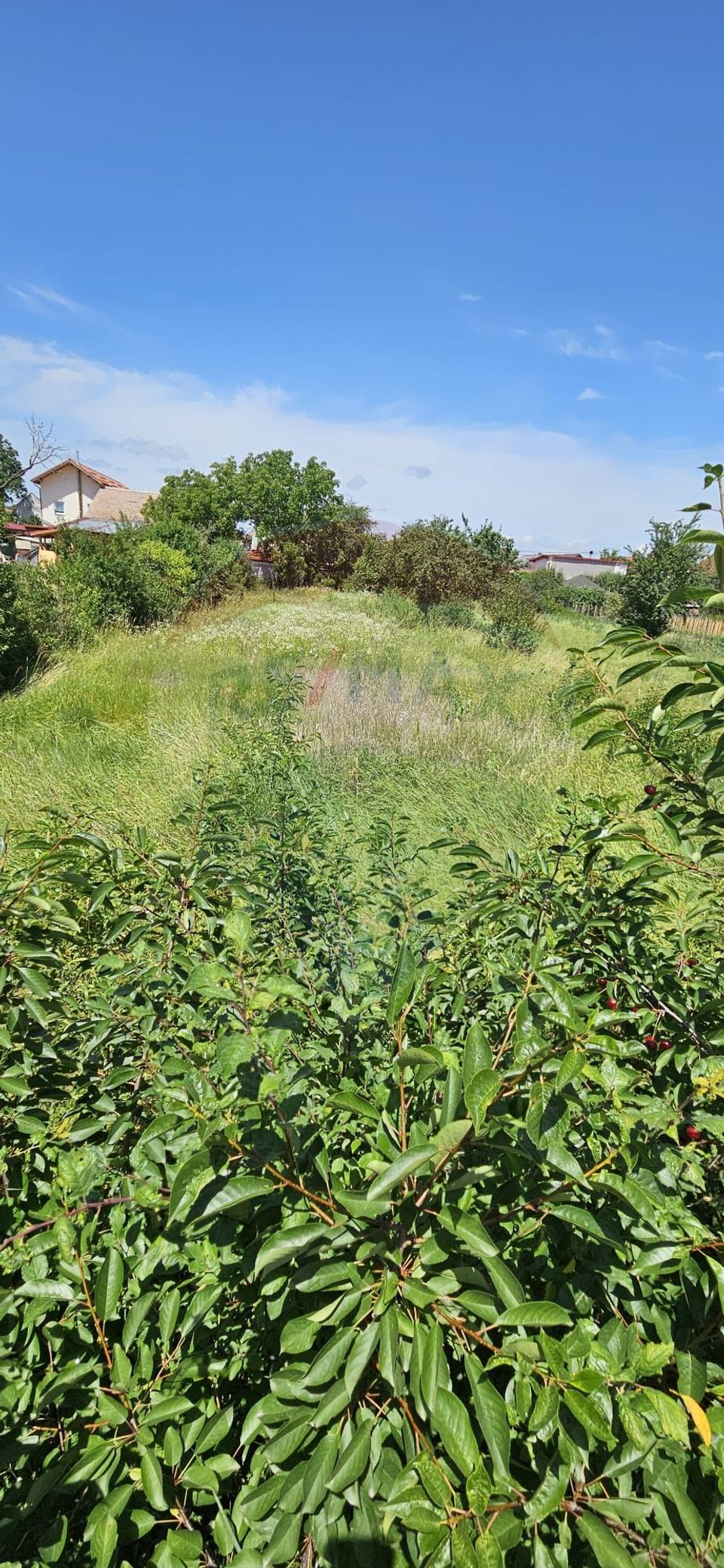 Teren 814mp Ghimbav/Strada BISERICII ROMANE/Certificat Urbanism