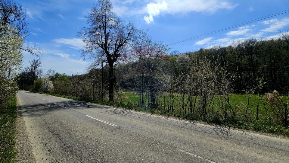 Land 10,000sqm Nemtisor / DJ 155C