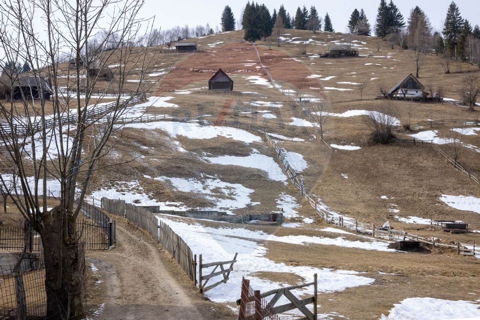 Land 1,091sqm Moieciu de Sus / Strada Valea Bangaleasa