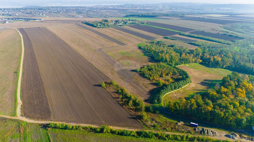 Teren 15,000mp Vorovesti / Strada Militari