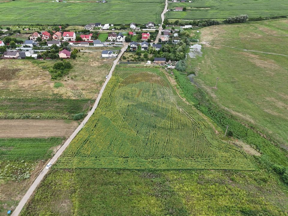 Land 3,091sqm Lilieci / Strada Tulbuc