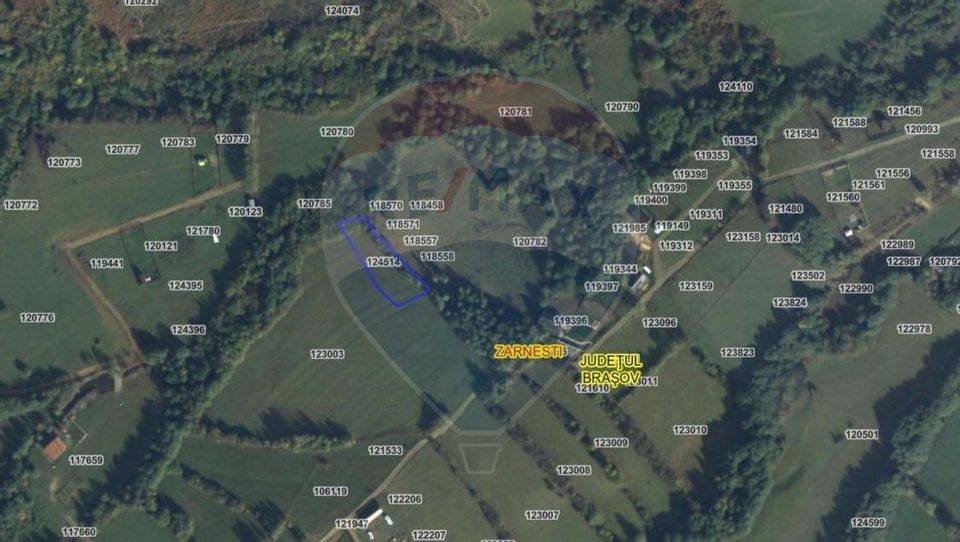 Land 1,205sqm Zarnesti / Drumul DJ112H