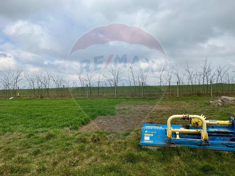 Teren extravilan Săcele ideal pentru silozuri, fermă sau investiție