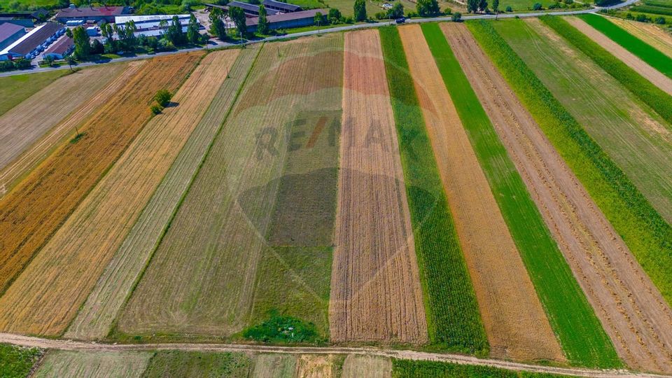 TEREN extravilan- 6 E/MP- CU PLANTATIE DE TRANDAFIRI! Teliu 7000mp