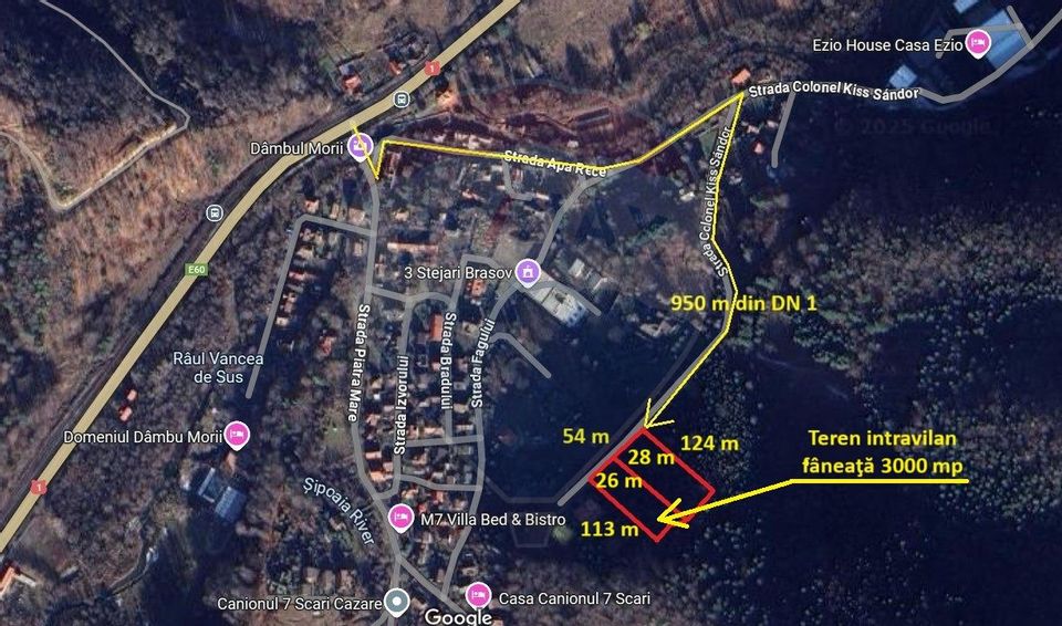 Teren intravilan, 3000 mp, Dâmbu Morii