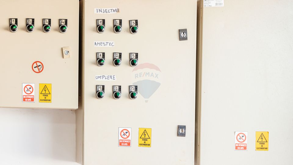 BUSINESS DE VANZARE Plantatie de afin din Romania