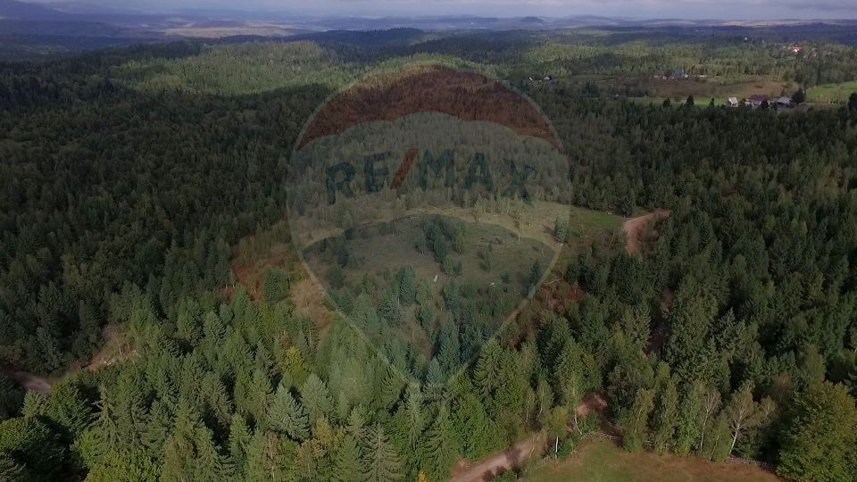 Teren extravilan parcelabil Călățele Pădure, zona Dealu Negru