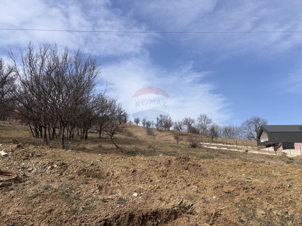 Land 1,697sqm Cisnadioara / Strada Silvicultorilor