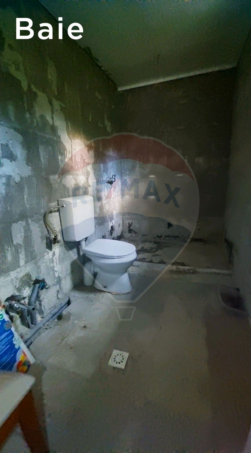 4 room House / Villa for sale, Valea Borcutului area