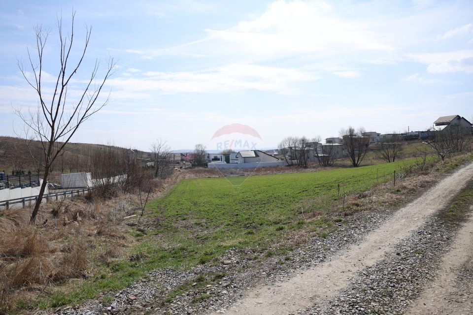 Teren 3,500mp Moara / Strada Pprincipala