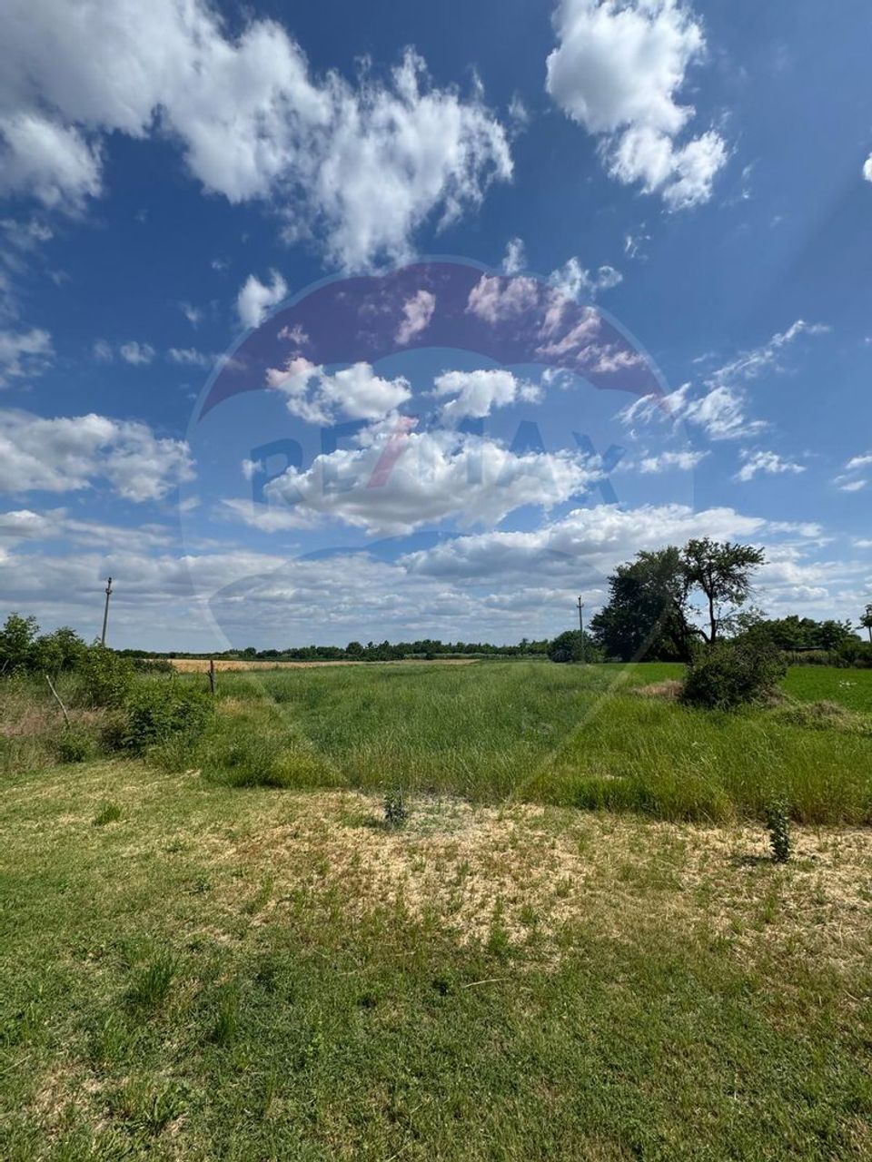 Land 4,000sqm Fierbinti-Targ / Strada Lalelei