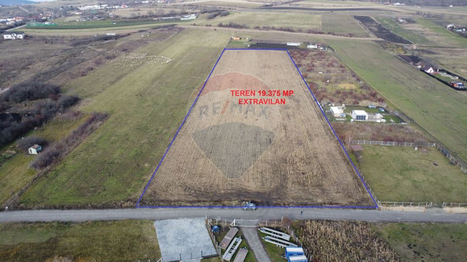 Teren 19.375 mp Dâmbu Rotund. Potențial rezidențial. Extravilan