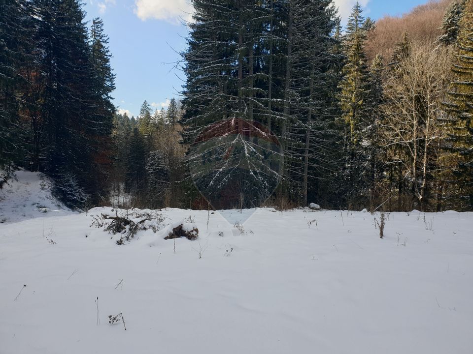 Land 19,086sqm Brasov / Strada Valea lungă