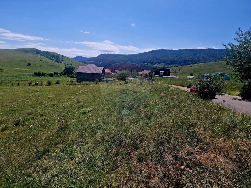 Land 5,000sqm Piatra-Neamt / Strada Punct Petruca