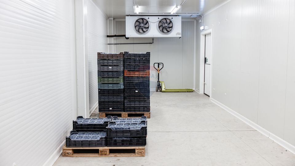 BUSINESS DE VANZARE Plantatie de afin din Romania