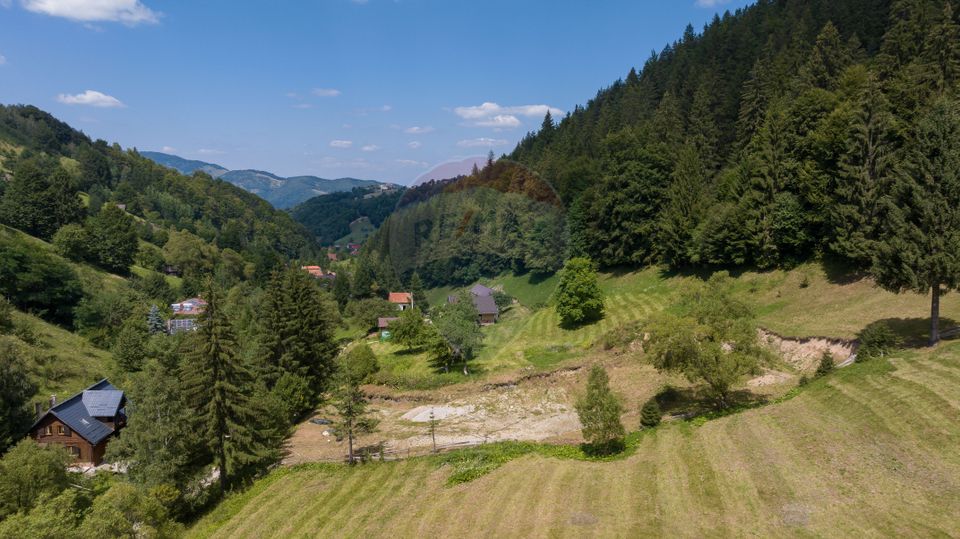 Teren 2.891 mp Șimon – Bran | Poziție rară, potențial turistic