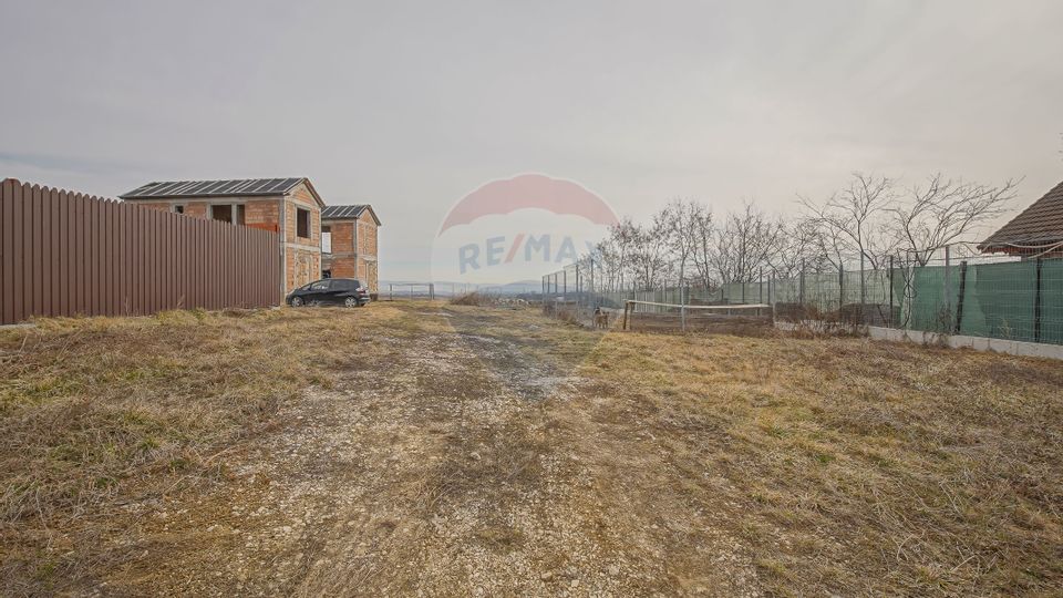 COMISION 0% Casă Individuala La Rosu cu teren de 4000 mp in Crizbav