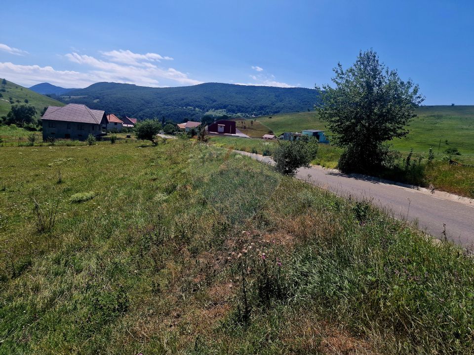 Land 5,000sqm Piatra-Neamt / Strada Punct Petruca