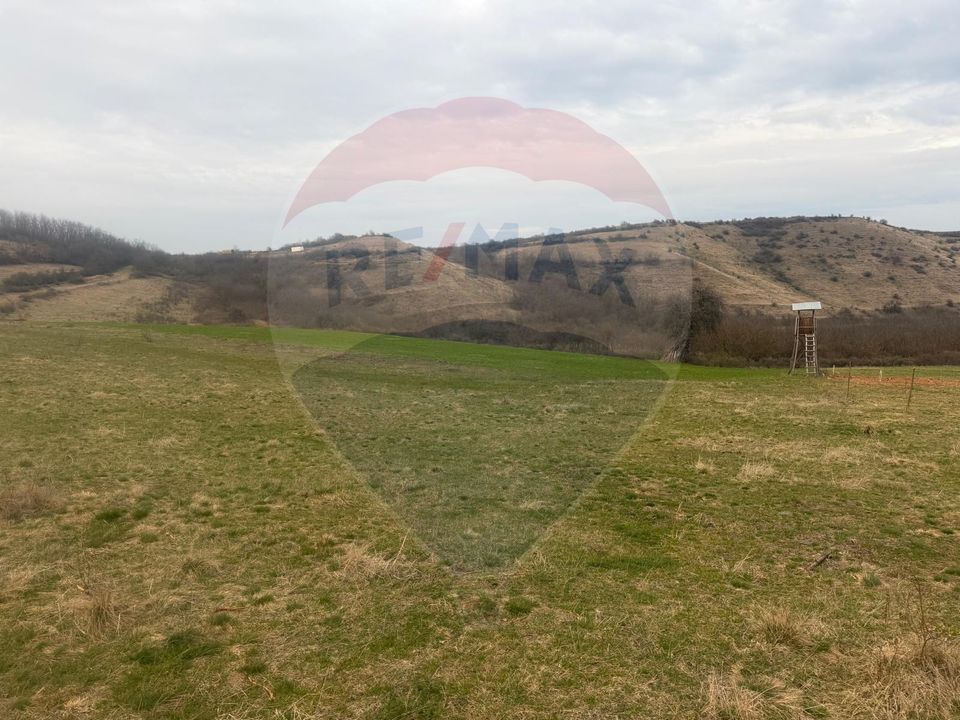 Land 3,400sqm Criseni / Strada principala