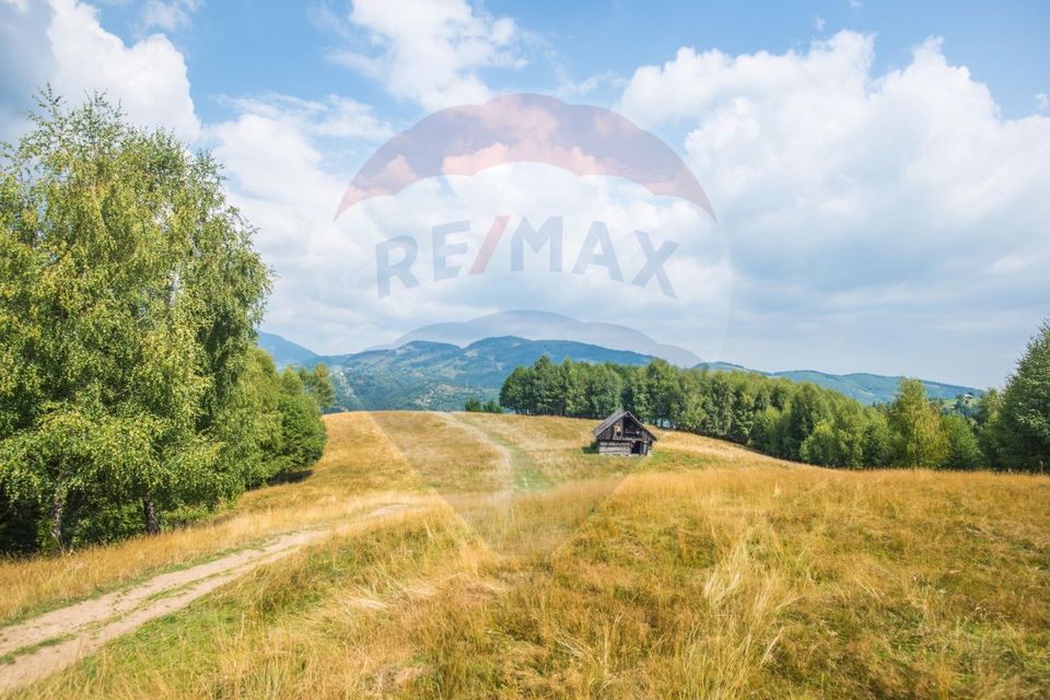 Teren extravilan Moieciu 45316mp