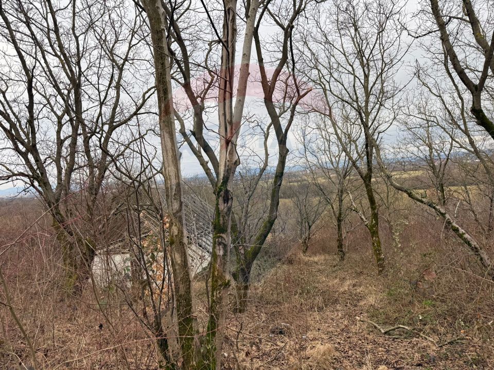 DE VANZARE Teren Strada Victoriei Baia Mare
