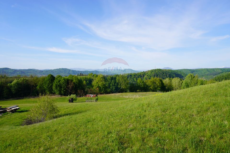 Land 38,592sqm Sighetu Marmatiei / Strada Mocăniței