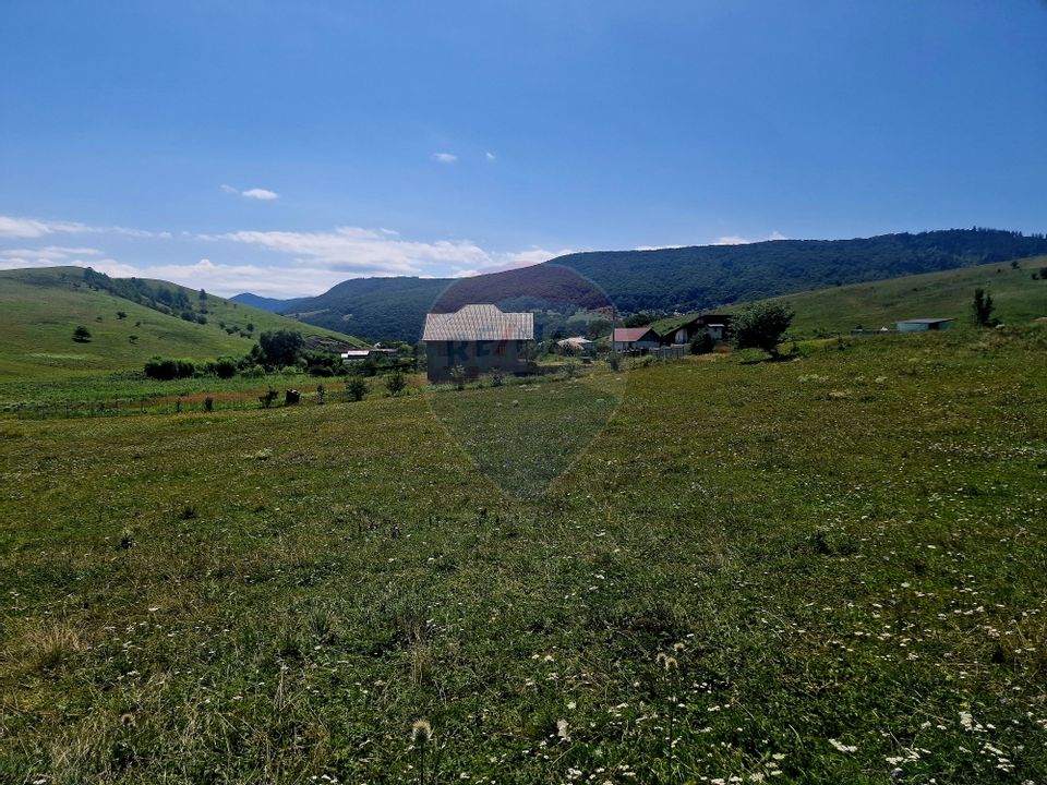 Land 5,000sqm Piatra-Neamt / Strada Punct Petruca