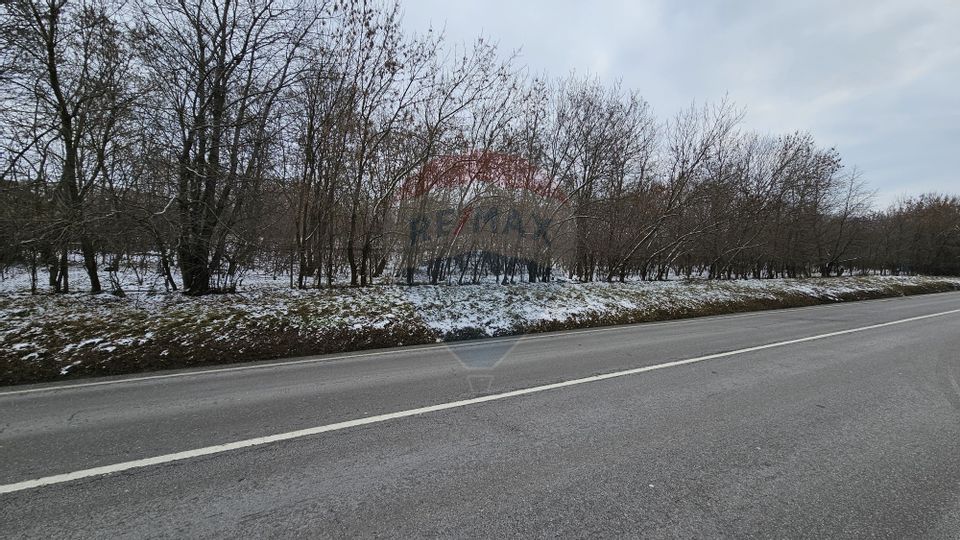 Teren 10,000mp Rădășeni / Șoseaua DN2-E85, județul Suceava