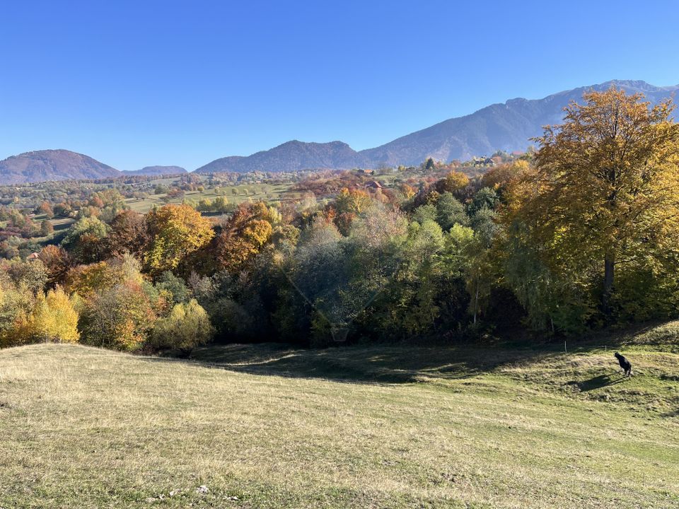 Land 3,500sqm Bran / Strada Bradul Inalt